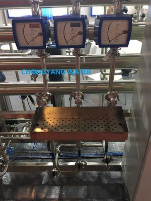 Pharma-Wasser-System gereinigtes Wasser-System für Pharma mit DQ IQ OQ FAT SAT